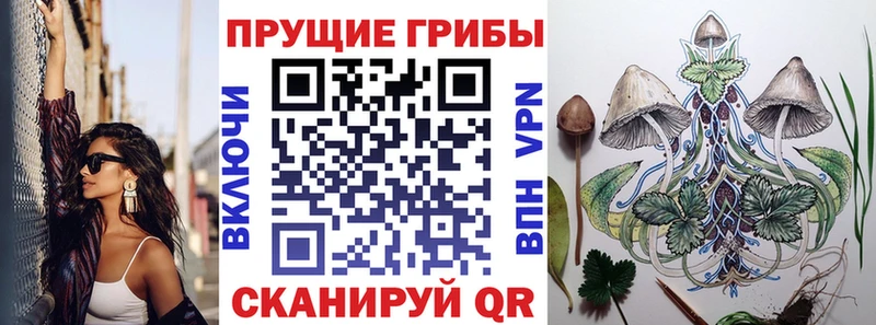 Галлюциногенные грибы мухоморы цены наркотик Белоозёрский